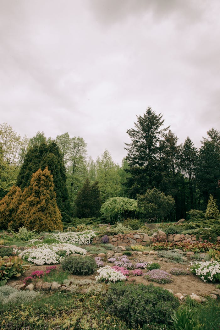 A serene garden landscape with vibrant flowers and towering trees under a cloudy sky.