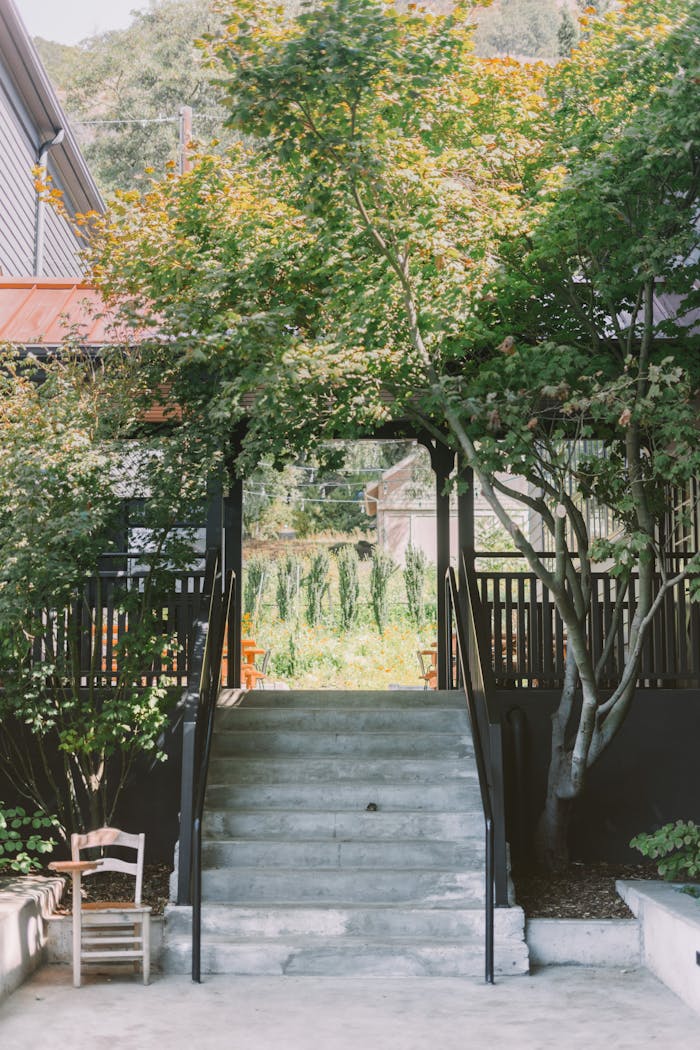 A peaceful garden entrance featuring a concrete staircase surrounded by lush greenery and trees.