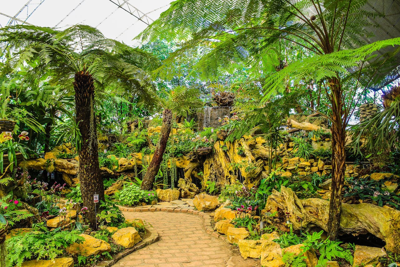 Explore a vibrant tropical garden featuring ferns, flowers, and a stone pathway under a greenhouse canopy.